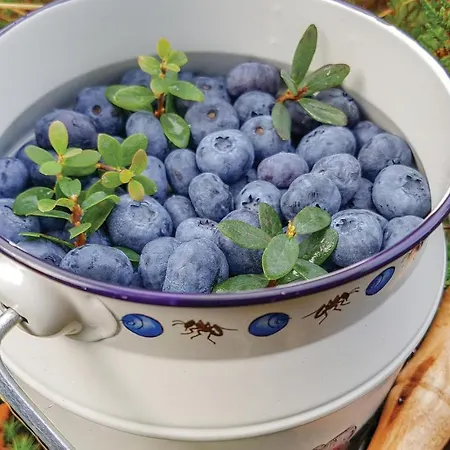 Feriehus 3 Bedroom Lovely In Vikanes